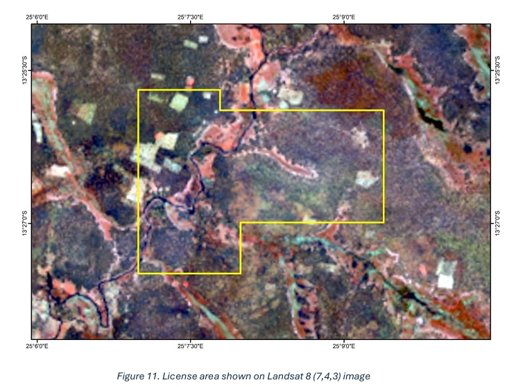 Survey image 3