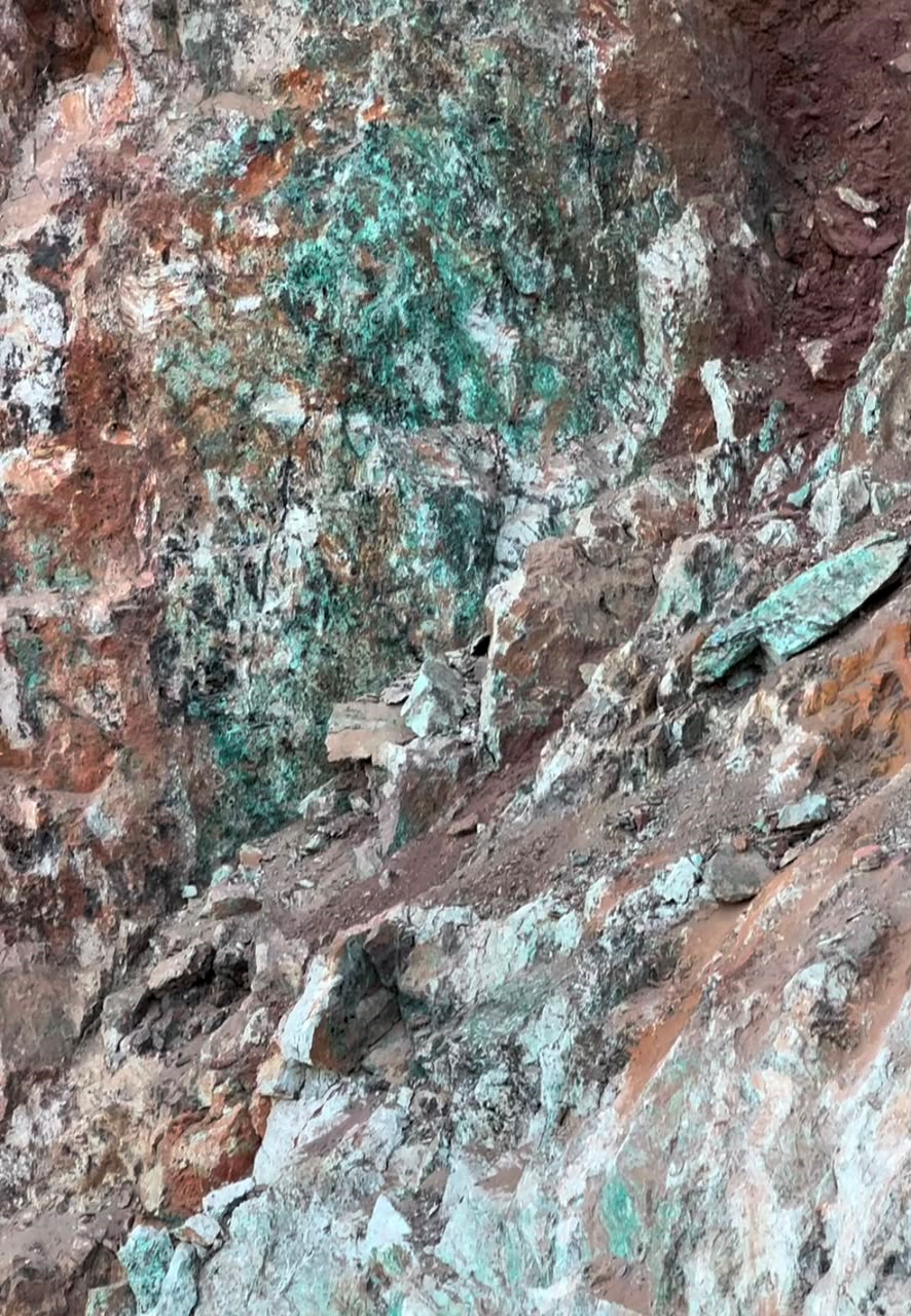 Survey image 1